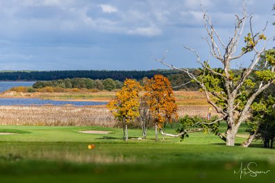 Estonian Golf & Country Club 3. rada sügisvärvides. Eesti Golfi Karikas