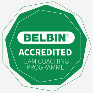 Belbin Accredited Team Coaching Programme